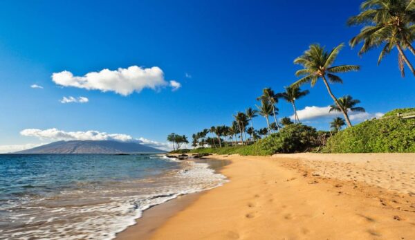 Private Course - Maui PD